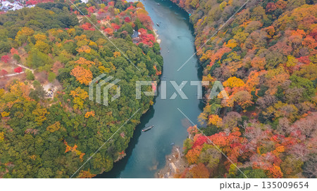 Nov 24 2025 Fall Trees At Arashiyama Rankyo Gorge Kyoto Japan 135009654