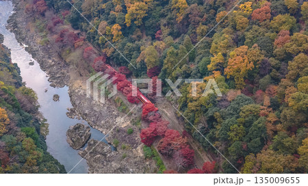 Nov 24 2025 Fall Trees At Arashiyama Rankyo Gorge Kyoto Japan 135009655