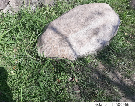 緑の上の石　大きな石 135009666