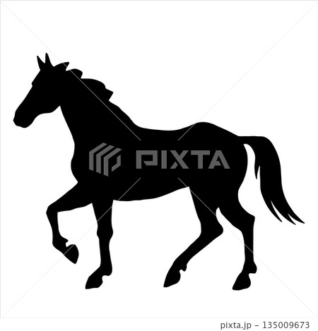 Vector silhouette of horse isolate on white backround. Vector silhouette of horse isolate on white backround. 135009673
