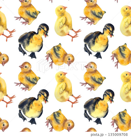 Seamless watercolor pattern with ducklings and chickens. Watercolor illustration of duckling with chick. Cute baby bird for Easter greeting card, textile print and spring celebration design. Seamless watercolor pattern with ducklings and chickens. Watercolor illustration of duckling with chick. Cute baby bird for Easter greeting card, textile print and spring celebration design. 135009708