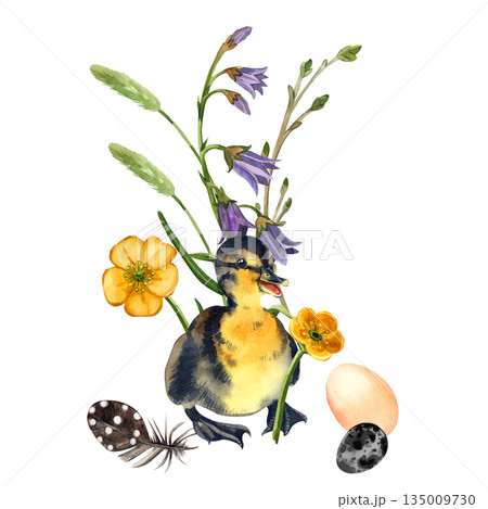 Watercolor illustration. Duckling with Spring flowers and eggs. Hand drawn watercolor illustration for greeting card, Easter, harvest festival. High quality illustration 135009730