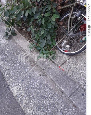 放置自転車 自転車 放置自転車 自転車 135009997