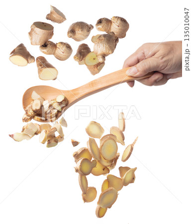 Galangal fall fly in turner, fresh vegetable spice galangal falling. Organic fresh herbal galangal root head cut chop slice, close up texture. White background isolated freeze motion high speed 135010047