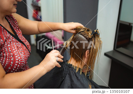 Hair stylist giving bob haircut to woman in salon Hair stylist giving bob haircut to woman in salon 135010107