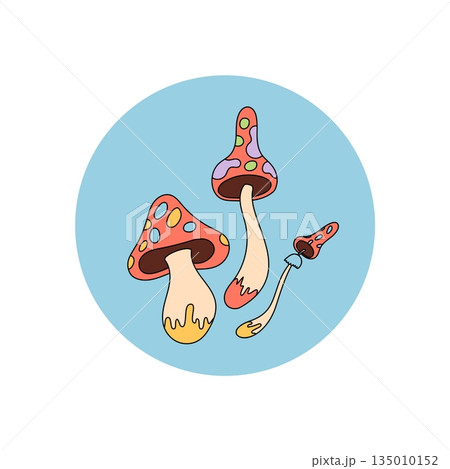 Groovy retro mushroom art in a colorful circle sticker. Emblem style shroom label sticker as magic package tag for box lid. Vibrant y2k mood, ideal for creative or trendy branding concepts. Groovy retro mushroom art in a colorful circle sticker. Emblem style shroom label sticker as magic package tag for box lid. Vibrant y2k mood, ideal for creative or trendy branding concepts. 135010152