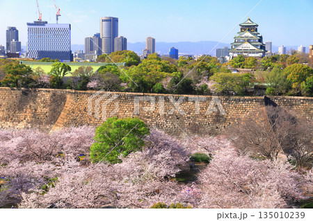 【大阪府】満開の桜と大阪城 135010239