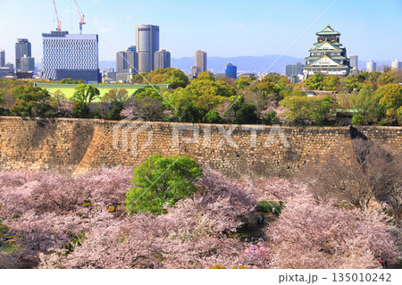 【大阪府】満開の桜と大阪城 135010242