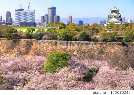 【大阪府】満開の桜と大阪城 【大阪府】満開の桜と大阪城 135010243