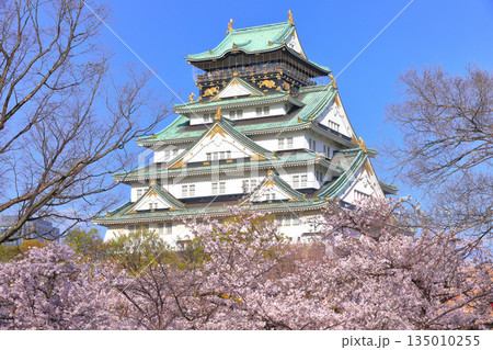 【大阪府】満開の桜と大阪城 135010255