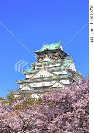 【大阪府】満開の桜と大阪城 135010259