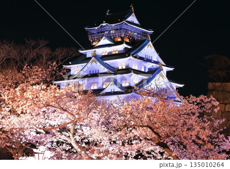 【大阪府】満開の夜桜と大阪城 135010264