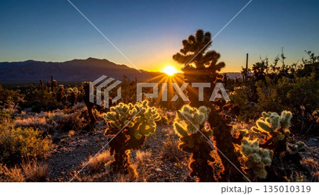 A vibrant summer landscape captures the sun glowing over a rural mountain meadow as golden sunlight fills the sky and clouds during a scenic sunrise in the countryside forest 135010319