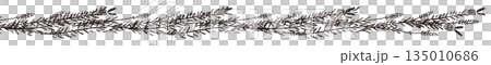 Hand-drawn monochrome illustration of lavender 135010686