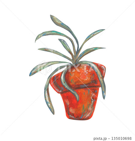 Green home plant in clay pot. Oil pastel drawn illustration isolated. For interior designs, retro vintage settings, restaurant cafe menu decorated, stickers, greeting cards and banners clip arts. Green home plant in clay pot. Oil pastel drawn illustration isolated. For interior designs, retro vintage settings, restaurant cafe menu decorated, stickers, greeting cards and banners clip arts. 135010698