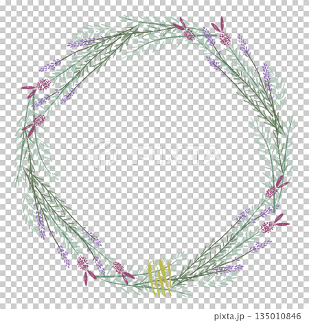 薰衣草手繪彩色插圖素材 薰衣草手繪彩色插圖素材 135010846