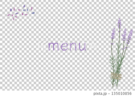 薰衣草手繪彩色插圖素材 135010856