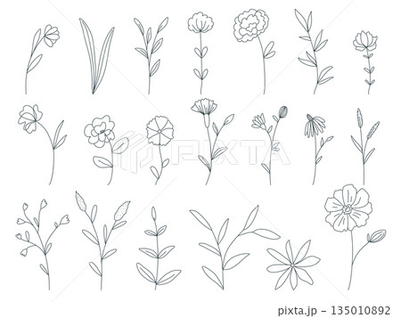 Hand drawn set of simple flowers, wildflowers and herbs Hand drawn set of simple flowers, wildflowers and herbs 135010892