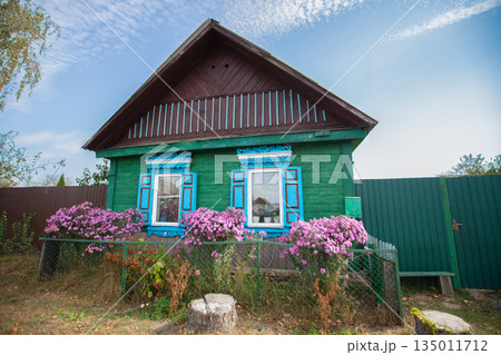 A green rustic one-story wooden house with a flower garden under the windows. A green rustic one-story wooden house with a flower garden under the windows. 135011712