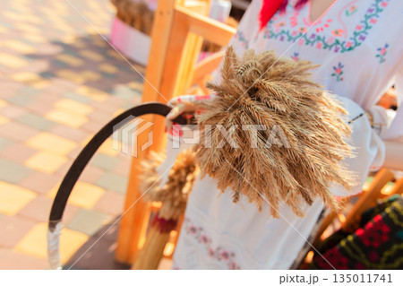 A woman is holding a bunch of straw in her hand. The straw is brown and is tied together A woman is holding a bunch of straw in her hand. The straw is brown and is tied together 135011741