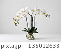 Orchid bouquet on white background 135012633