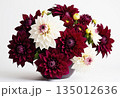 Dahlia bouquet on white background 135012636