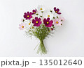 Cosmos bouquet on white background 135012640