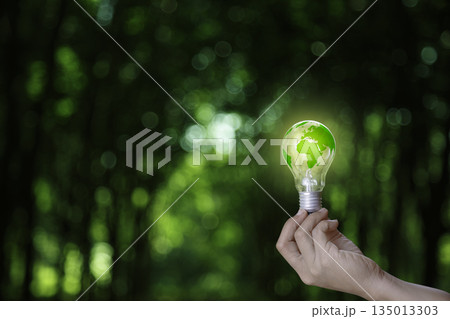 green energy, eco earth day concept. light bulb at hand on nature green background. Energy Renewable Sustainable carbon neutrality 2050. Environmental protection,Net zero emission. 135013303