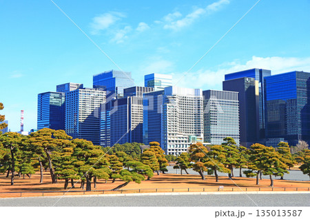 東京都千代田区、皇居外苑とビル群の風景 東京都千代田区、皇居外苑とビル群の風景 135013587