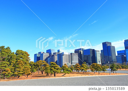 東京都千代田区、皇居外苑とビル群の風景 東京都千代田区、皇居外苑とビル群の風景 135013589