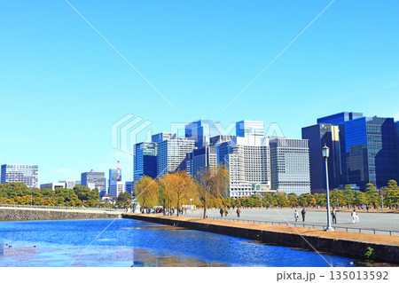 東京都千代田区、皇居外苑とビル群の風景 東京都千代田区、皇居外苑とビル群の風景 135013592