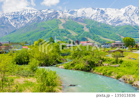 初夏の長野県白馬村　残雪の白馬連峰と姫川 135013836