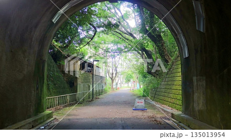 トンネルの向こうに広がる新緑と静かな小道 トンネルの向こうに広がる新緑と静かな小道 135013954