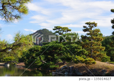 松のある風景 松のある風景 135014027