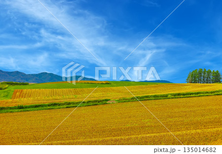 三愛の丘景色見 三愛の丘景色見 135014682