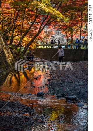 森町の遠江国一宮小國神社の紅葉の風景(静岡県) 森町の遠江国一宮小國神社の紅葉の風景(静岡県) 135014727