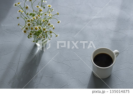 水色のテクスチャ背景にマトリカリアの花瓶とブラックコーヒー（余白あり） 135014875