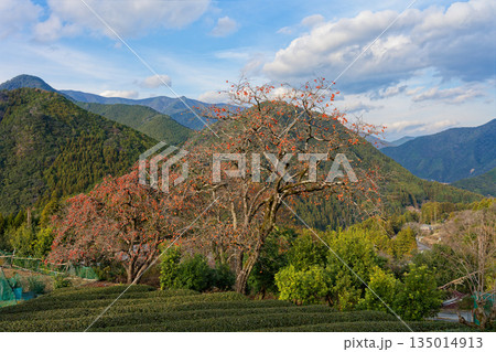 のどかな山村の風景 135014913