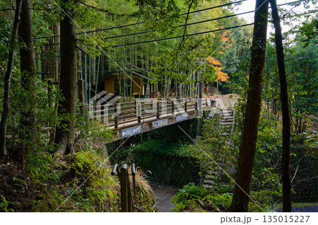 熊野古道 熊野古道 135015227