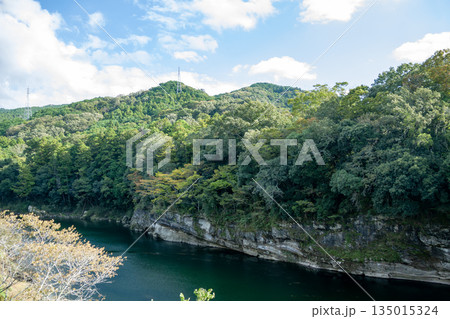 桜淵公園　笠岩橋から見る蜂の巣岩（愛知県新城市） 135015324