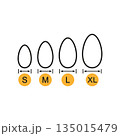 Egg sizes. Set of vector illustrations with arrows and eggs. Drawing on a white background.  135015479