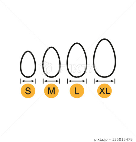 Egg sizes. Set of vector illustrations with arrows and eggs. Drawing on a white background. Egg sizes. Set of vector illustrations with arrows and eggs. Drawing on a white background. 135015479