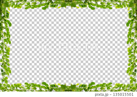 vine frame leaf vine circle Isolate on transparent background PNG file vine frame leaf vine circle Isolate on transparent background PNG file 135015501