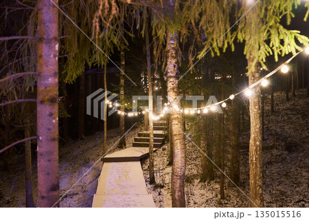 Enchanting stringlit trail through snowy woods under evening sky 135015516