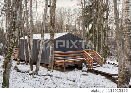 Minimalist house with wooden porch nestled within snowdusted trees 135015536