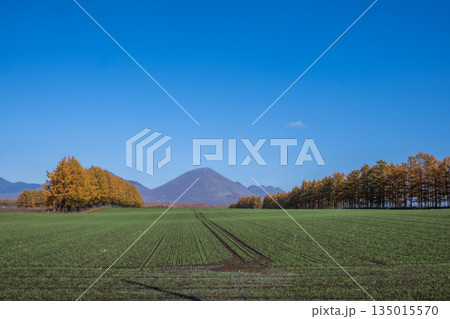 秋の十勝平野 -雄大な北の大地- 秋の十勝平野 -雄大な北の大地- 135015570