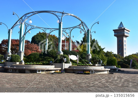 神奈川県　相模原麻溝公園のセンター広場とグリーンタワーと紅葉 135015656