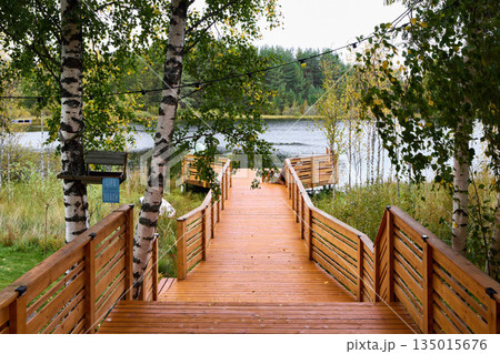 Relaxing trail through forest leading to peaceful reflective lake scene 135015676