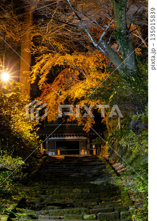 鎌倉251223　浄智寺1　夜景 135015839