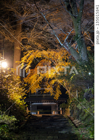 鎌倉251223　浄智寺3　夜景 135015841